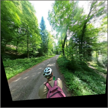 Forest-corridor sample, view 1