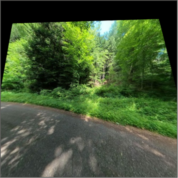 Forest-corridor sample, view 2