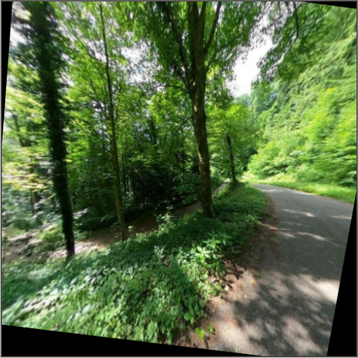 Forest-corridor sample, view 3